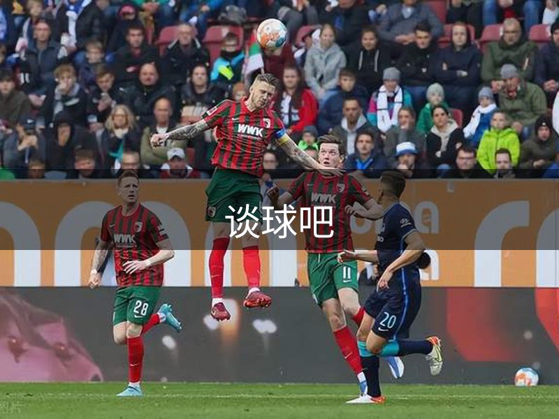 公司历程